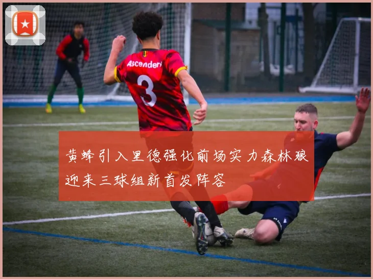 黄蜂引入里德强化前场实力森林狼迎来三球组新首发阵容