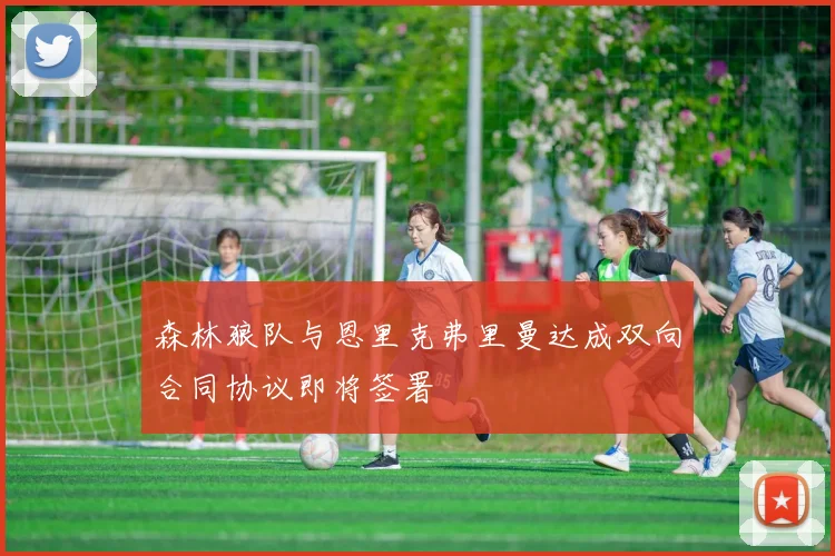 森林狼队与恩里克弗里曼达成双向合同协议即将签署